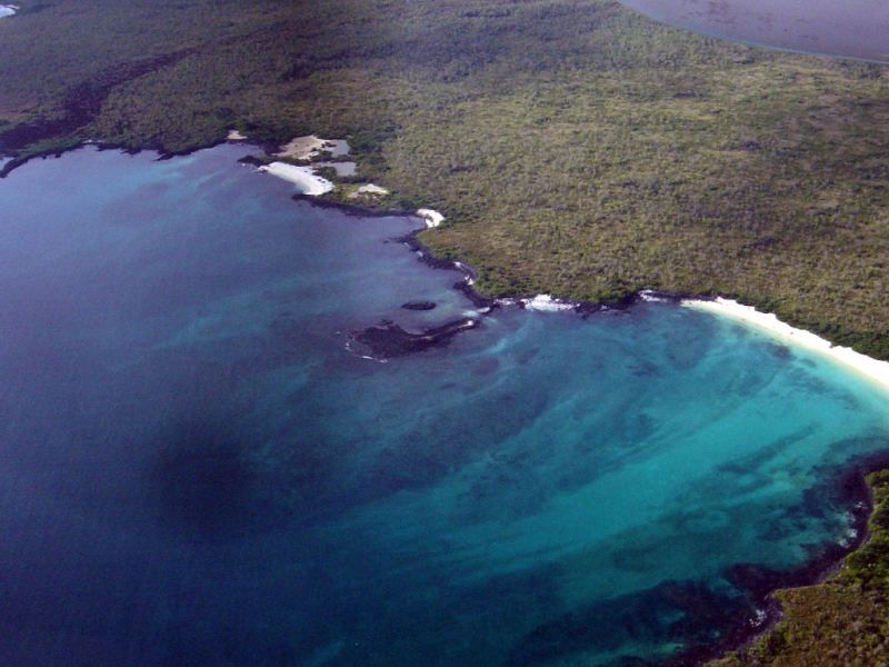 Isla Santa Fe o Barrington